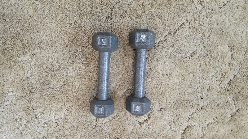 5 pound fixed dumbbells