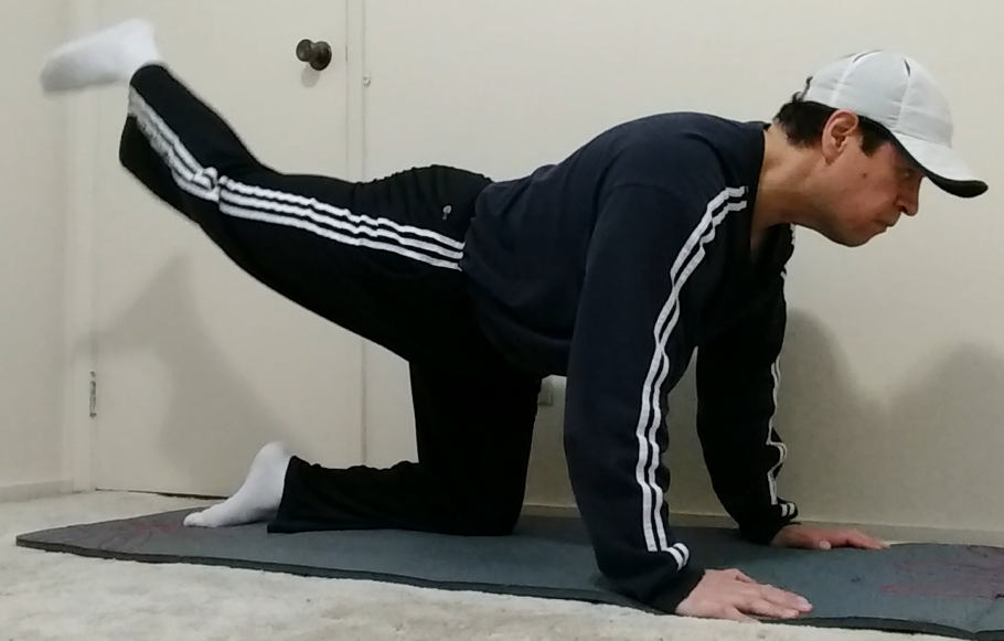 How To Do The Kneeling Reverse Leg Kickback Exercise
